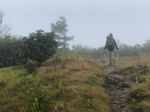 1269A848-9159-4D85-8B68-55BDBE61381E