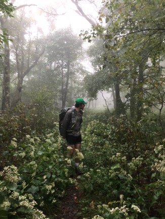 ADAB101C-3898-46B3-B5E2-B57607F39F02