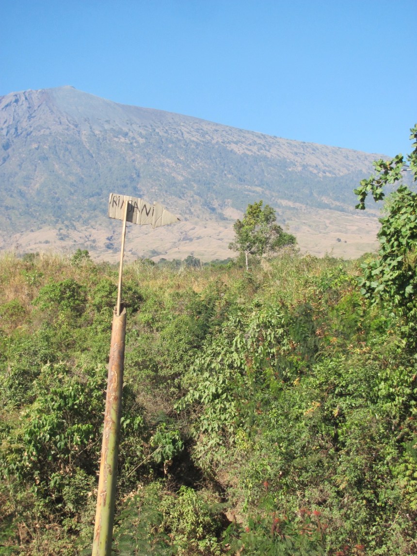 F3BE93B8-4957-4D73-8386-485C65374D2E