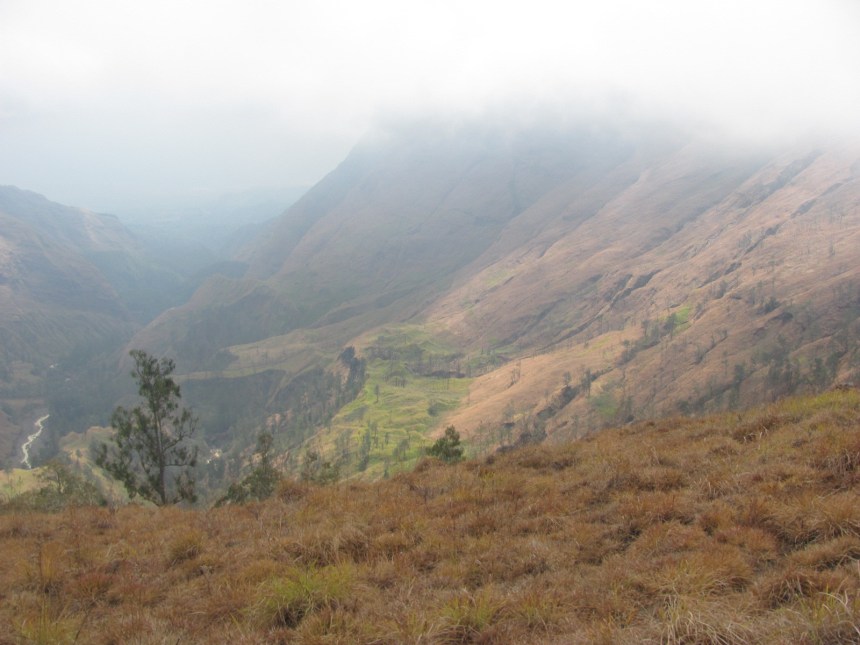 C006B2F2-9A3E-4DB9-ABEE-4597614CDC87