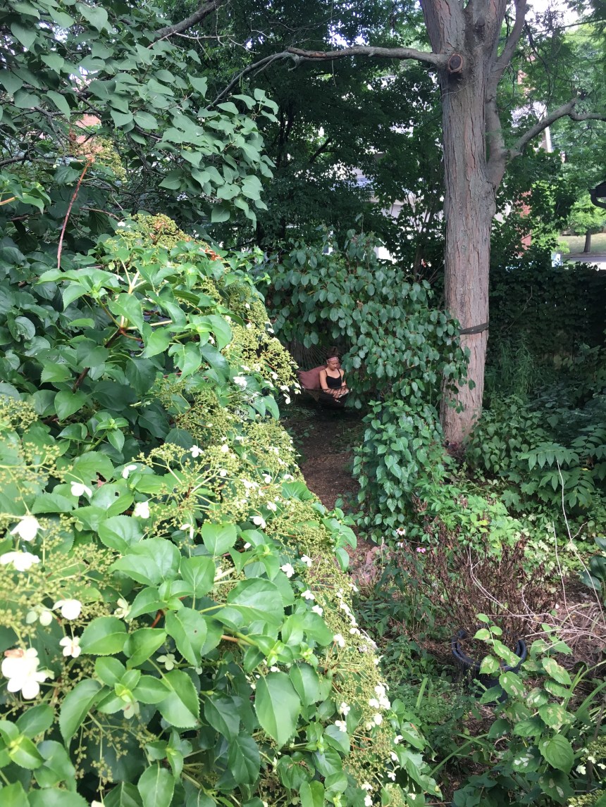 674F72CB-EF2D-4ECB-BFF5-70F24C689A61