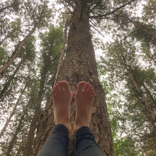 28D14289-AA90-4E40-9F84-A8406B09026B